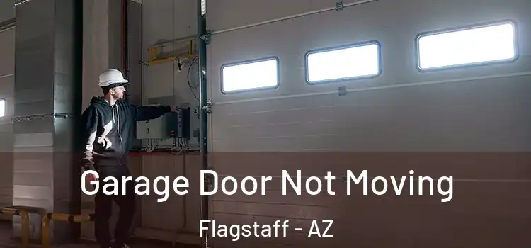  Garage Door Not Moving Flagstaff - AZ